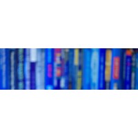 David Brewster Writer Logo