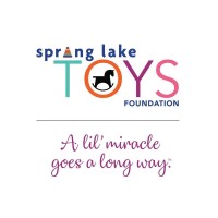 SPRING LAKE TOYS FOUNDATION INC Logo