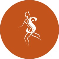 Rocky Mountain Spine & Sport Logo