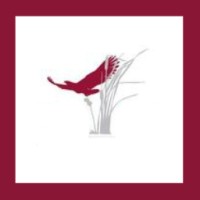 CHV Winery - Coopers Hawk Vineyards and The Vines Restaurant Logo
