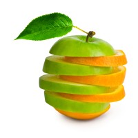 Food Data Services Logo