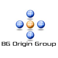 BG Origin Group Logo
