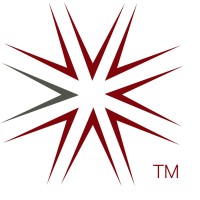 Netlink Resource Group Logo