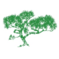 Hash Tree Company Logo