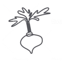 JUJUBEET Logo