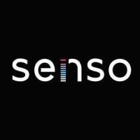 Senso Systems Logo