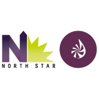 North Star Marketing | Figmints Logo