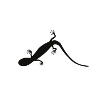 LIVING CONCEPT Logo