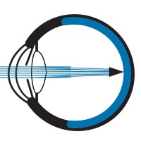 California Retina Consultants Logo