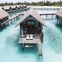 This Island Life Logo