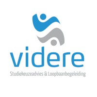 Videre Logo