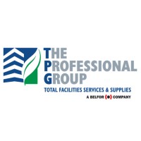 The Professional Group Logo