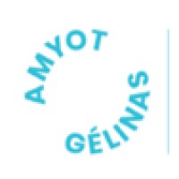 Amyot Gélinas Conseils Inc.- Capital humain Logo