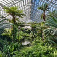 Garfield Park Conservatory Alliance Logo