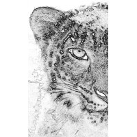 PANGJE FOUNDATION Logo