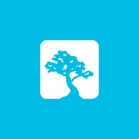 Bonsai media Logo