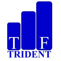 TRIDENT FABRICATORS PRIVATE LIMITED Logo
