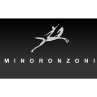 MINORONZONI SRL Logo