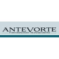 ANTEVORTE Performance Management GmbH & Co. KG Logo