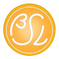 Bright Side of Life Software and Consulting Services Logo