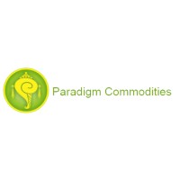 Paradigm Commodity Advisors Pvt Ltd Logo