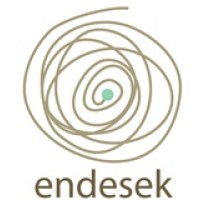 ENDESEK LIMITED Logo