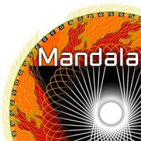 Mandala Net Design Logo