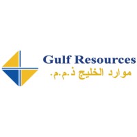 Najib Sayegh Consulting Logo