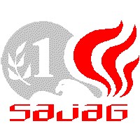 Sajag Securities Pvt Ltd Logo