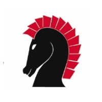 Troy Computing Logo