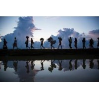 Shelter In Peace Inc Logo