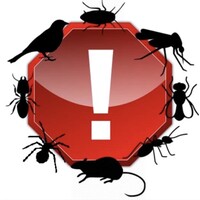 Dixon Pest Control Logo