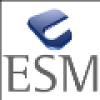 ESM Digital Solutions Logo