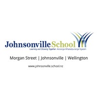 Johnsonville School Logo