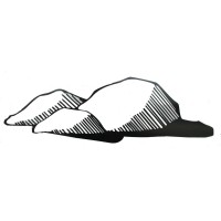 Dan Fix Landscape Construction Company Logo