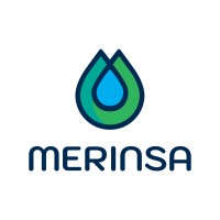 MERINSA Logo
