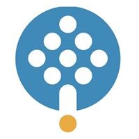 Octree Limited Logo
