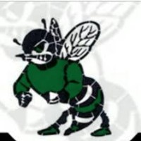 Cave Springs High School Logo