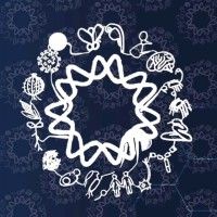 Instituto de Biotecnología UNAM Logo