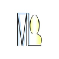 Mark Lewis Photo Video Logo