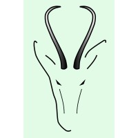 SPRINGBOK DRILLING LTD. Logo