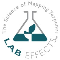 Lab Effects Logo