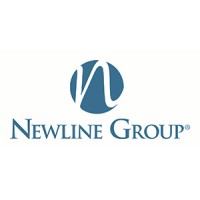 Newline Group Logo