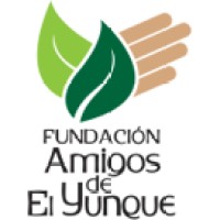 FUNDACION AMIGOS DE EL YUNQUE INC Logo