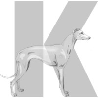 Kosciusko Senior High School Logo