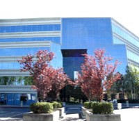 Gregory S Genetti, CPA Logo