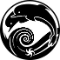 Rapisardi Intellectual Property Logo