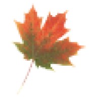 ARIS Solutions Logo