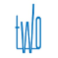 The Weinstein Organization Logo