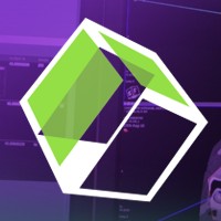 Visage Imaging Logo